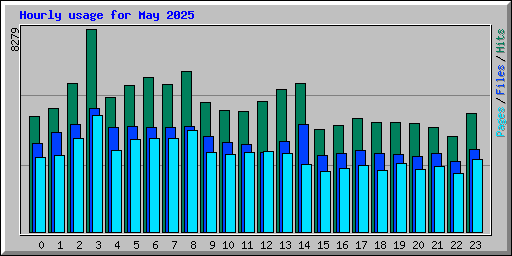 Hourly usage for May 2025