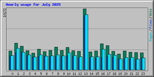 Hourly usage for July 2025