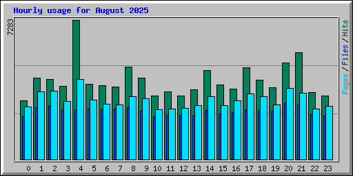 Hourly usage for August 2025