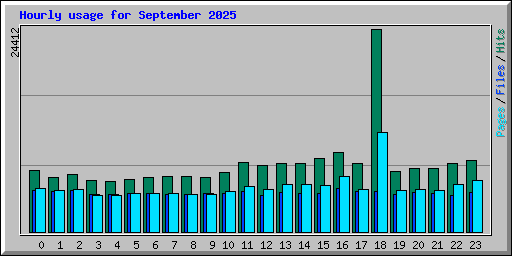 Hourly usage for September 2025