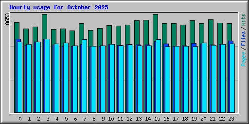 Hourly usage for October 2025